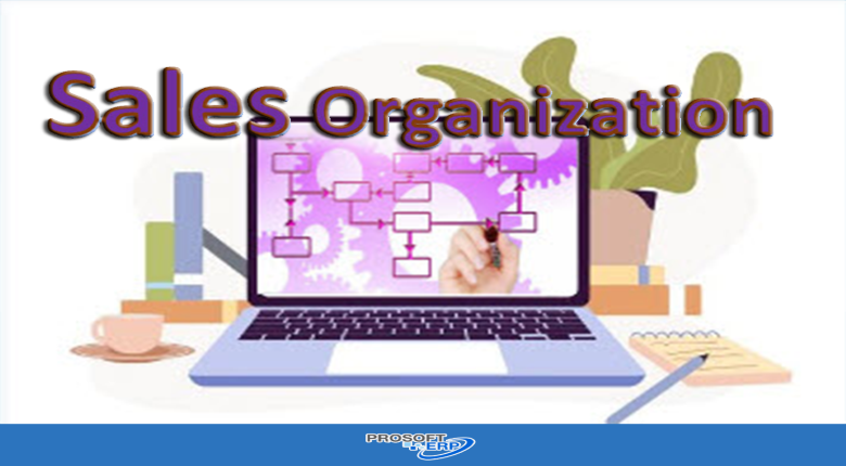 ข้อมูลโครงสร้างงานขายเป็นการจัดโครงสร้างองค์กรของฝ่ายขาย ซึ่งมีหน้าที่ในการจัดจำหน่ายสินค้าและบริการ