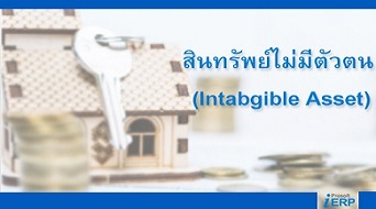 สินทรัพย์ไม่มีตัวตน (Intangible Assets)