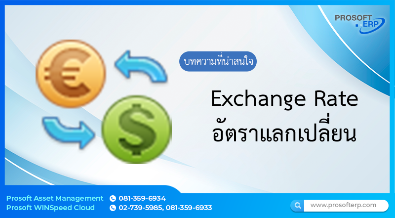 อัตราแลกเปลี่ยน (Exchange Rate) เป็นการบันทึกรายการที่เกี่ยวข้องกับเงินตราต่างประเทศ (Currency) ทั้งสกุลเงินต่างประเทศ และสกุลเงินในประเทศ เป็นต้น